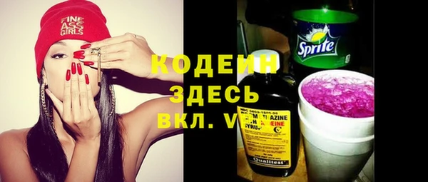 дурь Пересвет