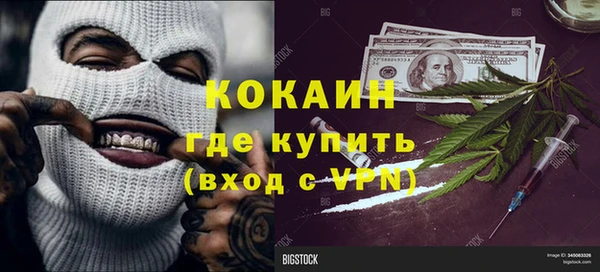дурь Пересвет