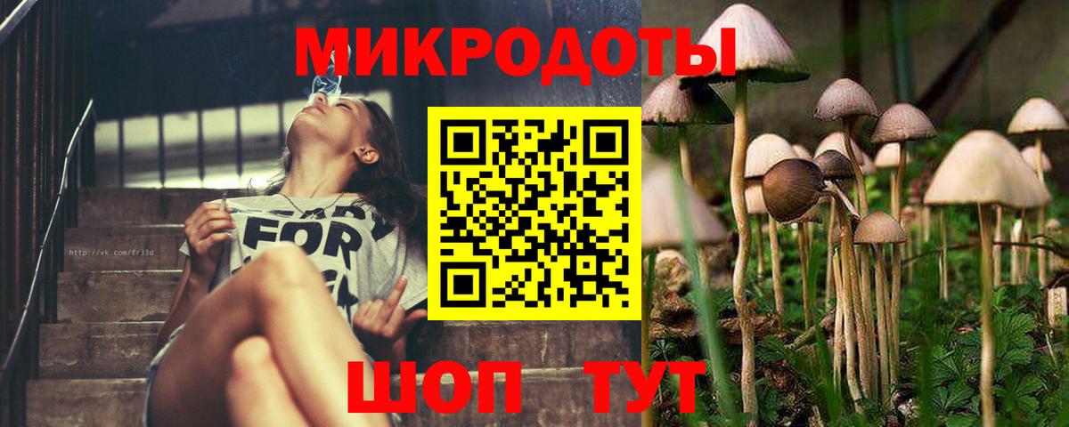 Псилоцибиновые грибы прущие грибы Сафоново