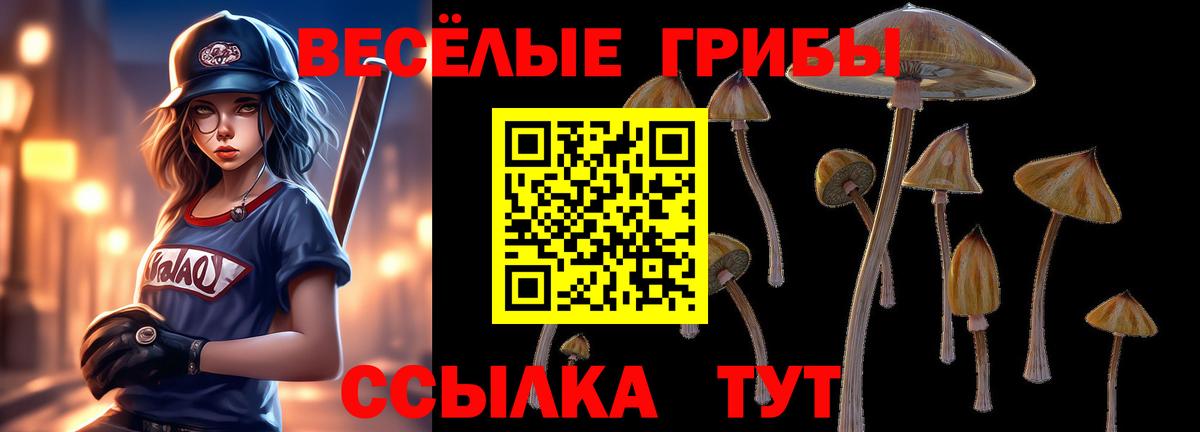 Псилоцибиновые грибы Magic Shrooms  Галлюциногенные грибы GOLDEN TEACHER  Вход с VPN  Сафоново 