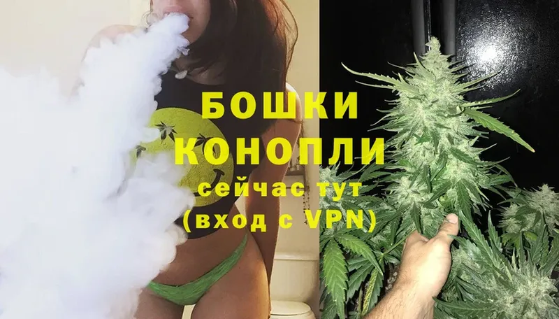 Бошки Шишки THC 21%  Сафоново 