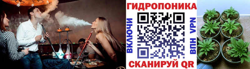 Шишки марихуана сатива  МЕГА ONION  Сафоново  где купить наркоту 